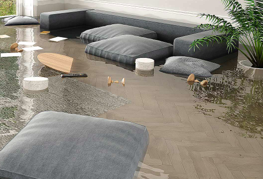 protégez votre habitation contre les risques d'inondation grâce à notre assurance inondation complète et adaptée à vos besoins. bénéficiez d'une couverture optimale et d'une assistance rapide en cas de sinistre.